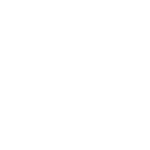 ico-ipd-04